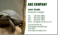 Nature, animals, wild, turtle, tortoise, shell, zoo,
